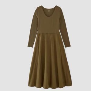 Everlane Olive Long Sleeve Dress